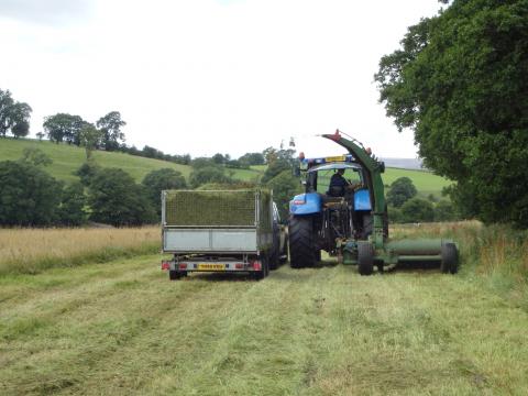 Cutting for Skelshaw 9 Aug 13.jpg