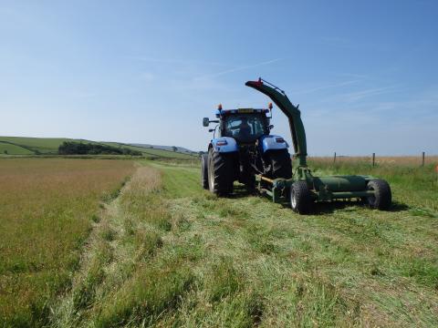 Cutting green hay 18 July 13